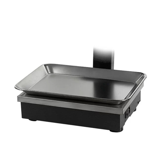 ترازوی رادین مدل 8800